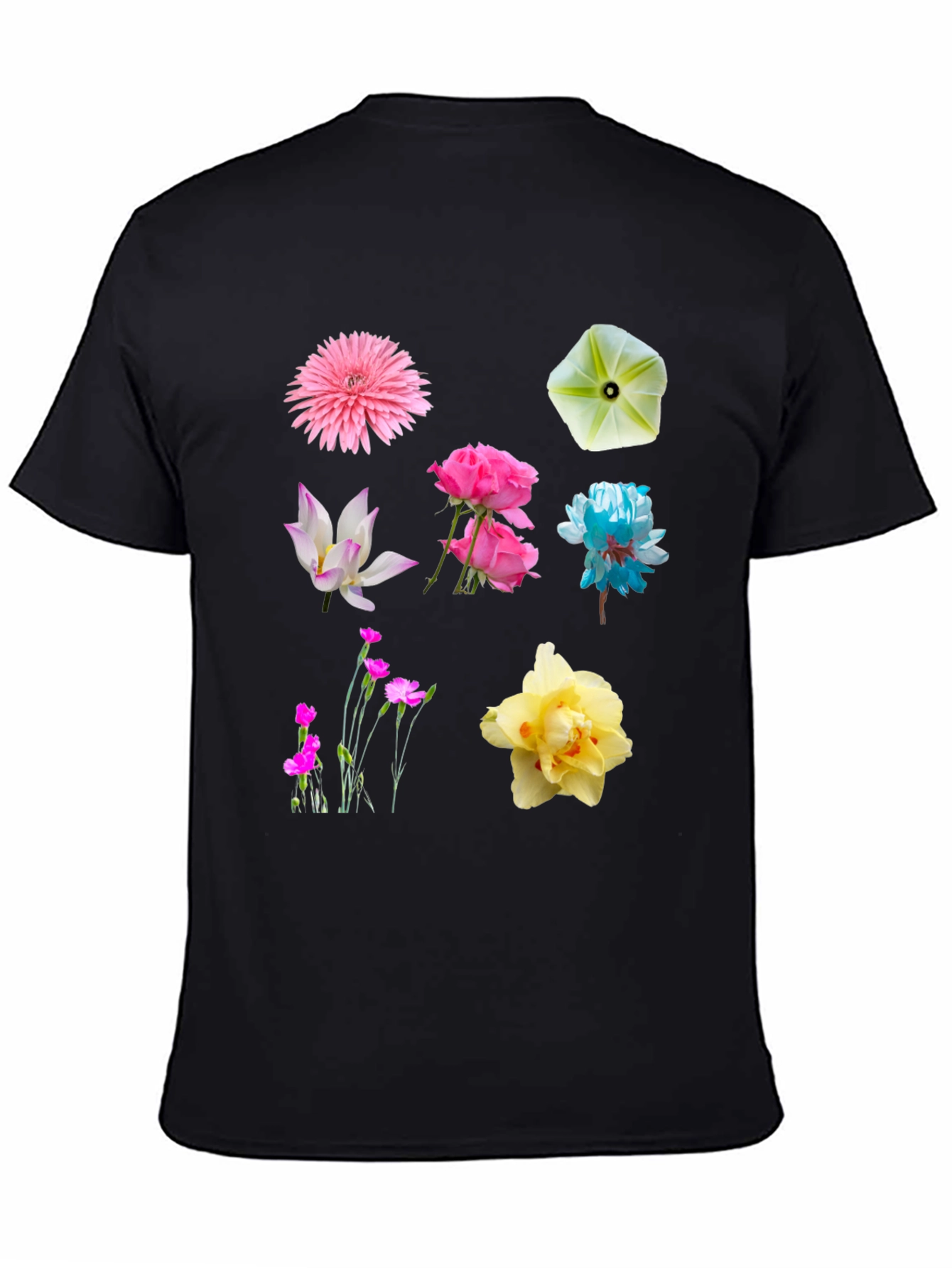 Floral Print Crew Neck T-Shirt
