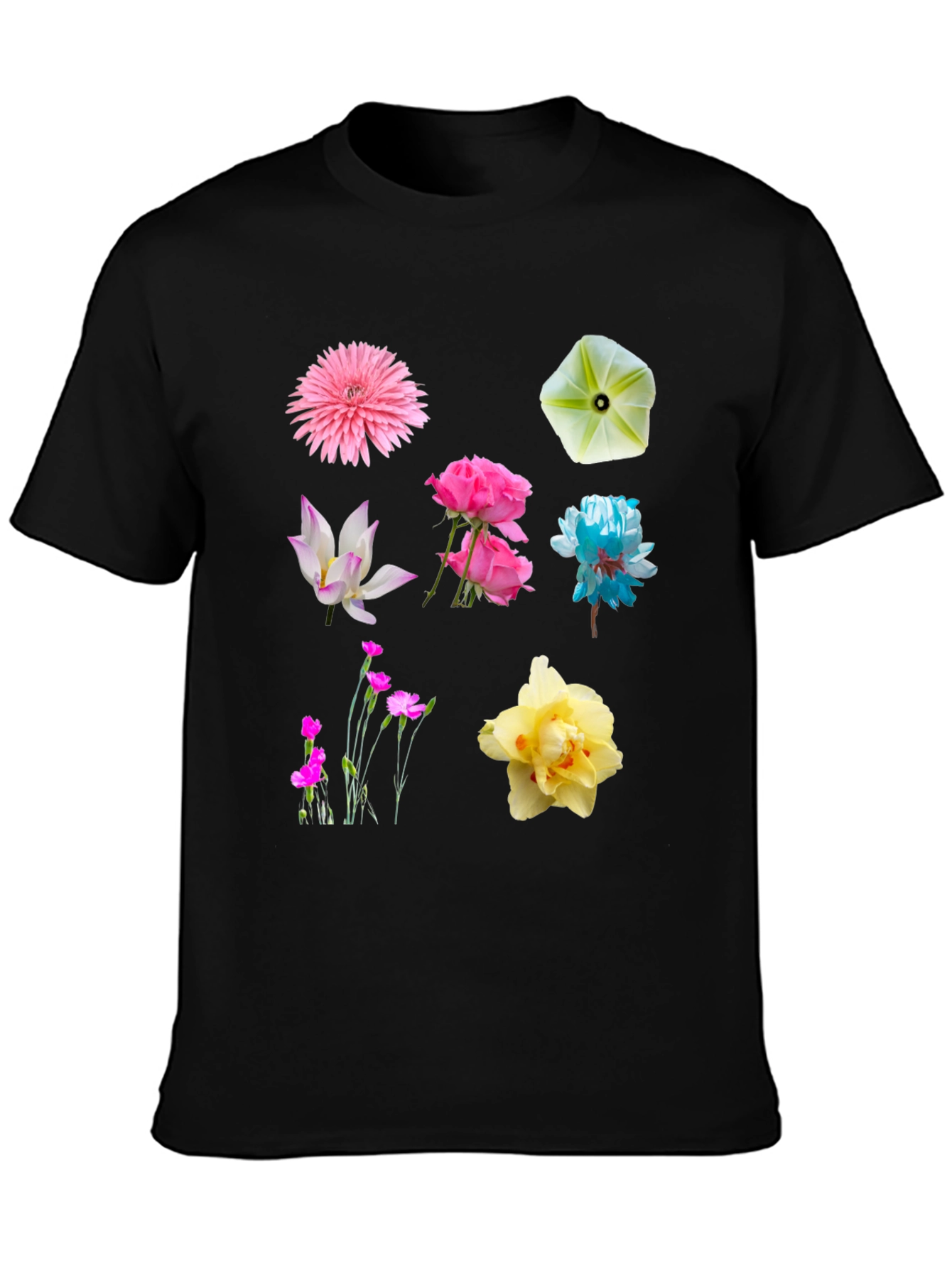 Floral Print Crew Neck T-Shirt