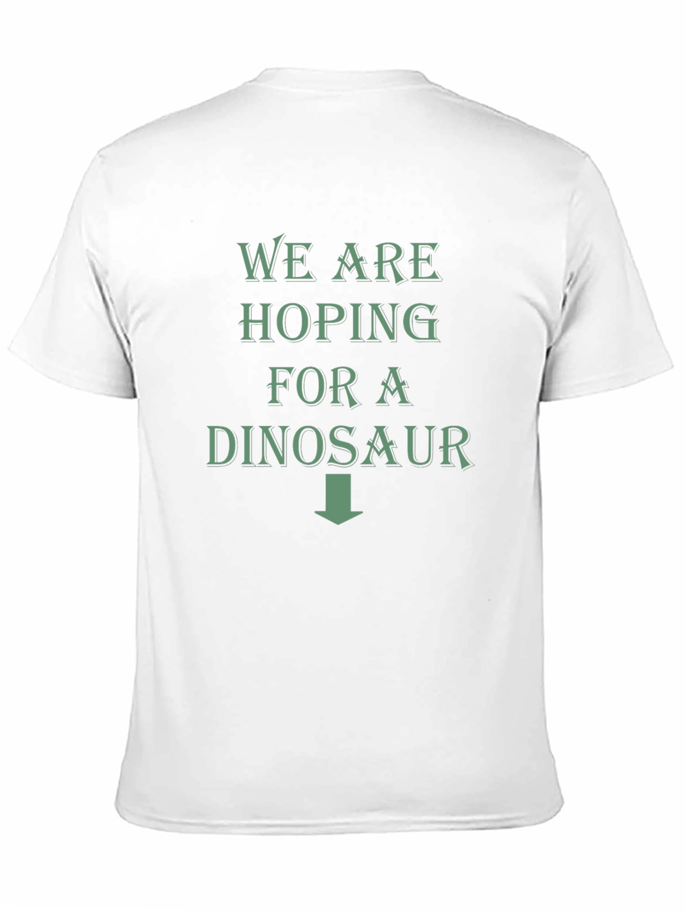 Expecting Dinosaur T-Shirt - Funny Pregnancy Announcement Tee