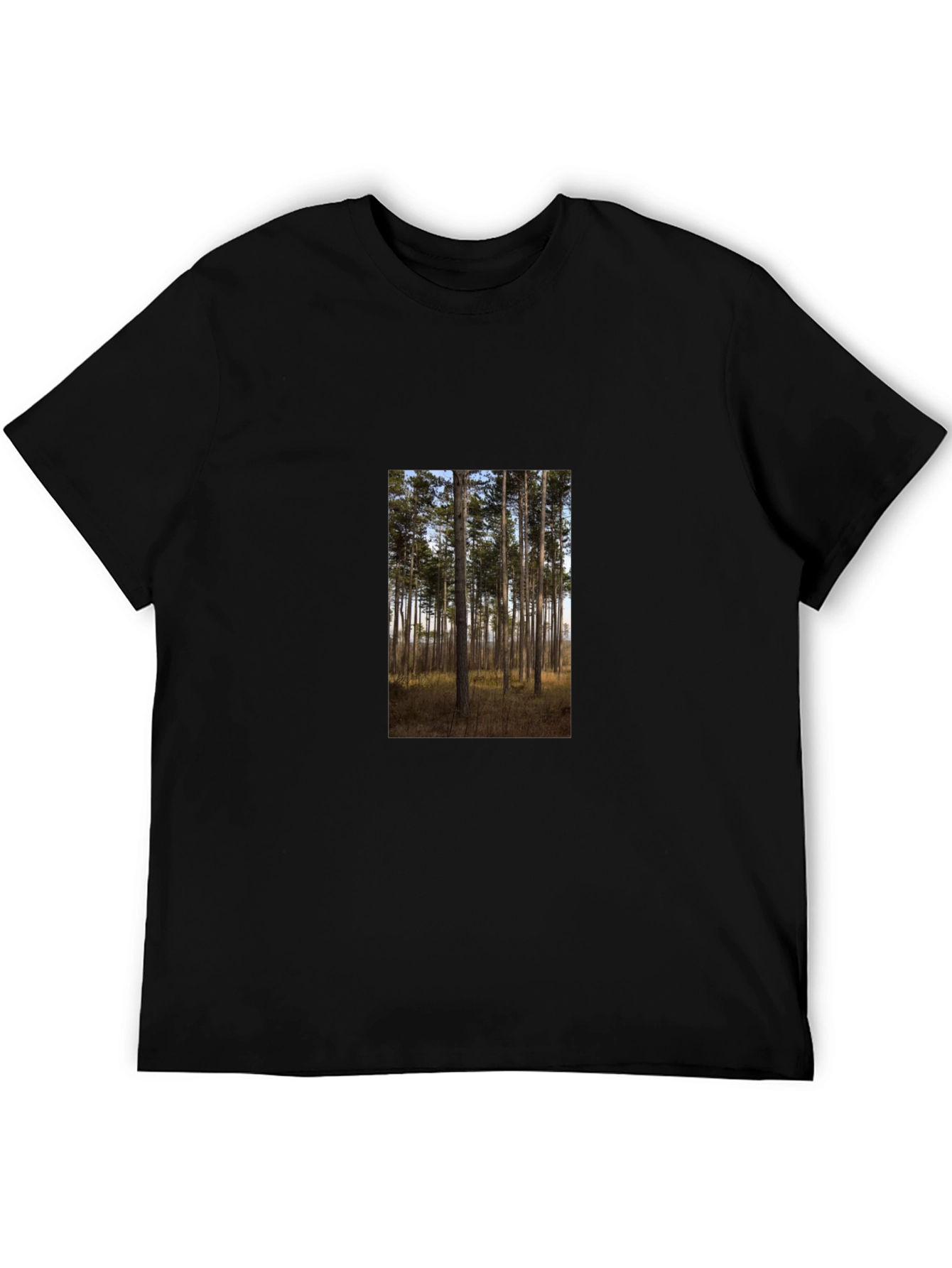 Nature Scene Graphic Tee - Black Cotton Shirt