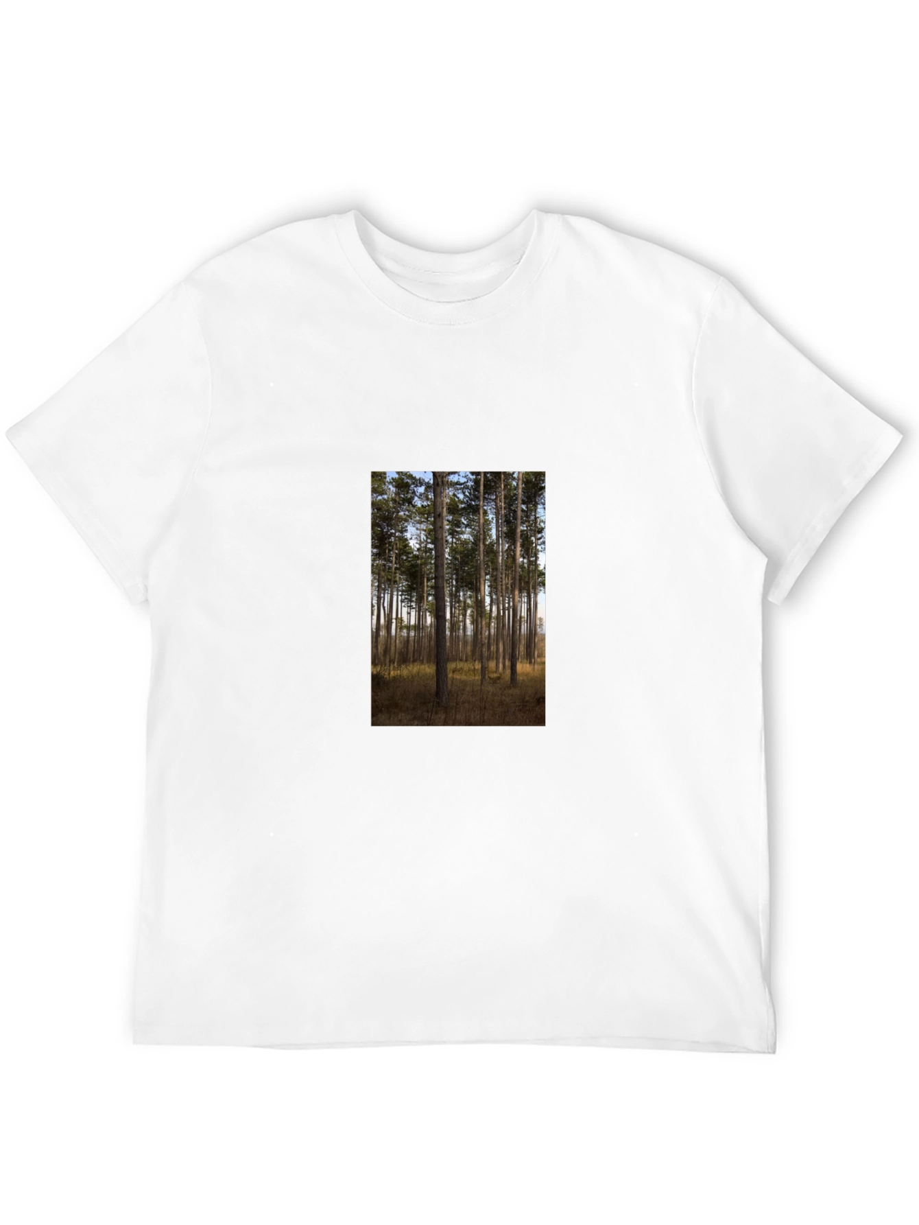 Nature Scene Graphic Tee - Black Cotton Shirt