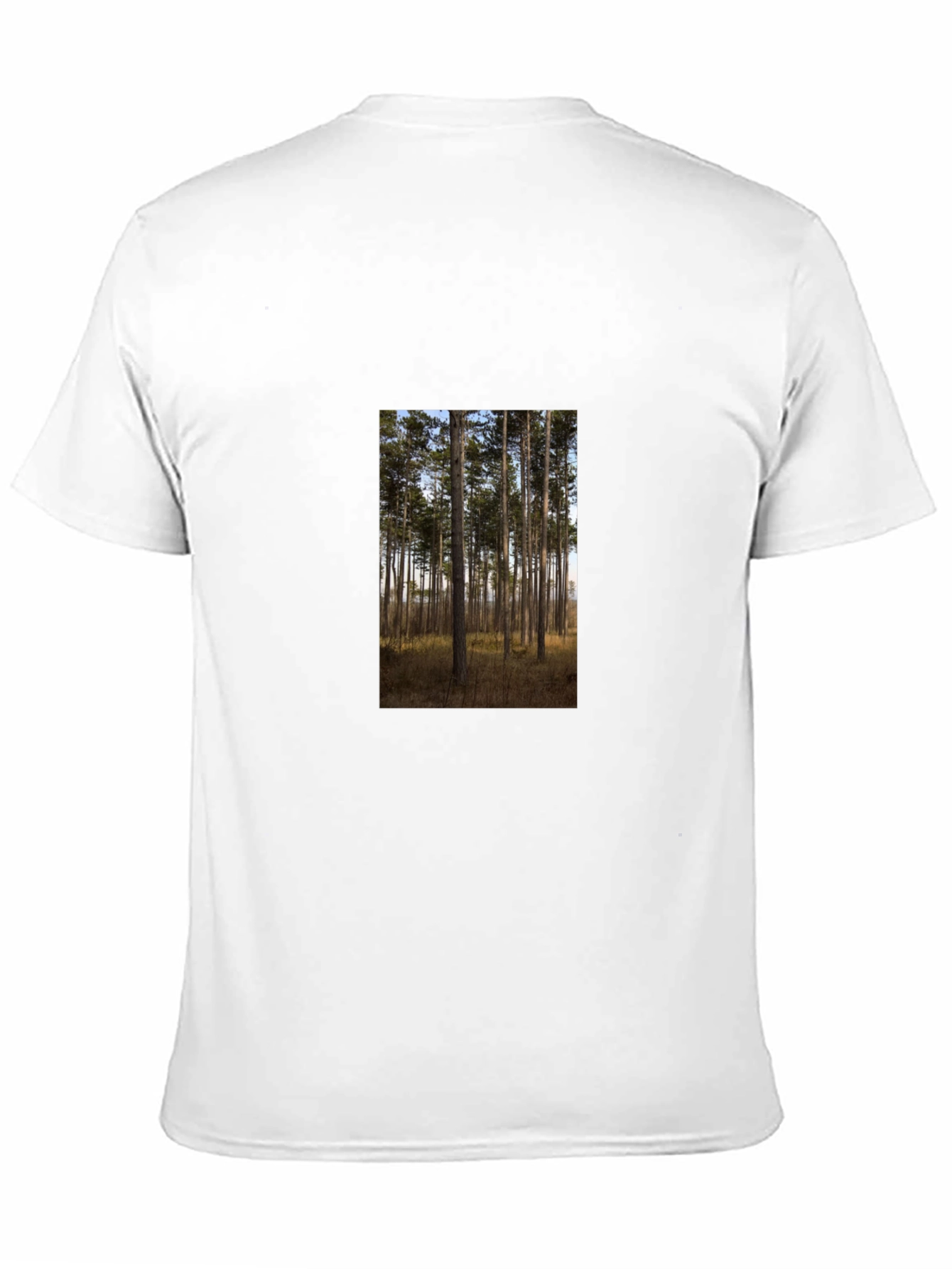 Nature Scene Graphic Tee - Black Cotton Shirt
