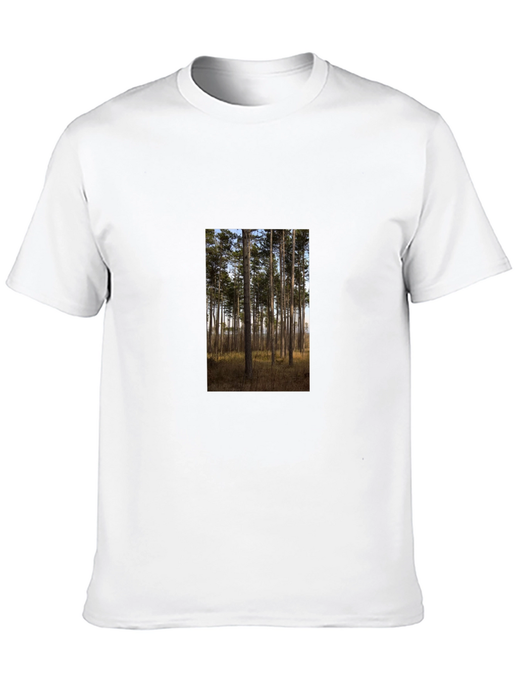 Nature Scene Graphic Tee - Black Cotton Shirt