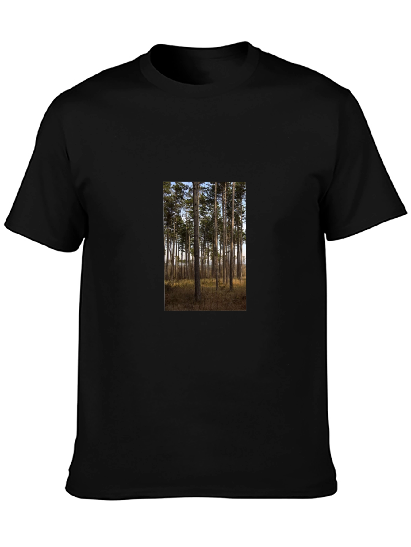 Nature Scene Graphic Tee - Black Cotton Shirt