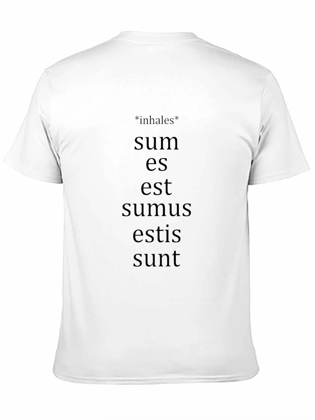 Latin Verb Conjugation T-Shirt - Grammar Humor Tee
