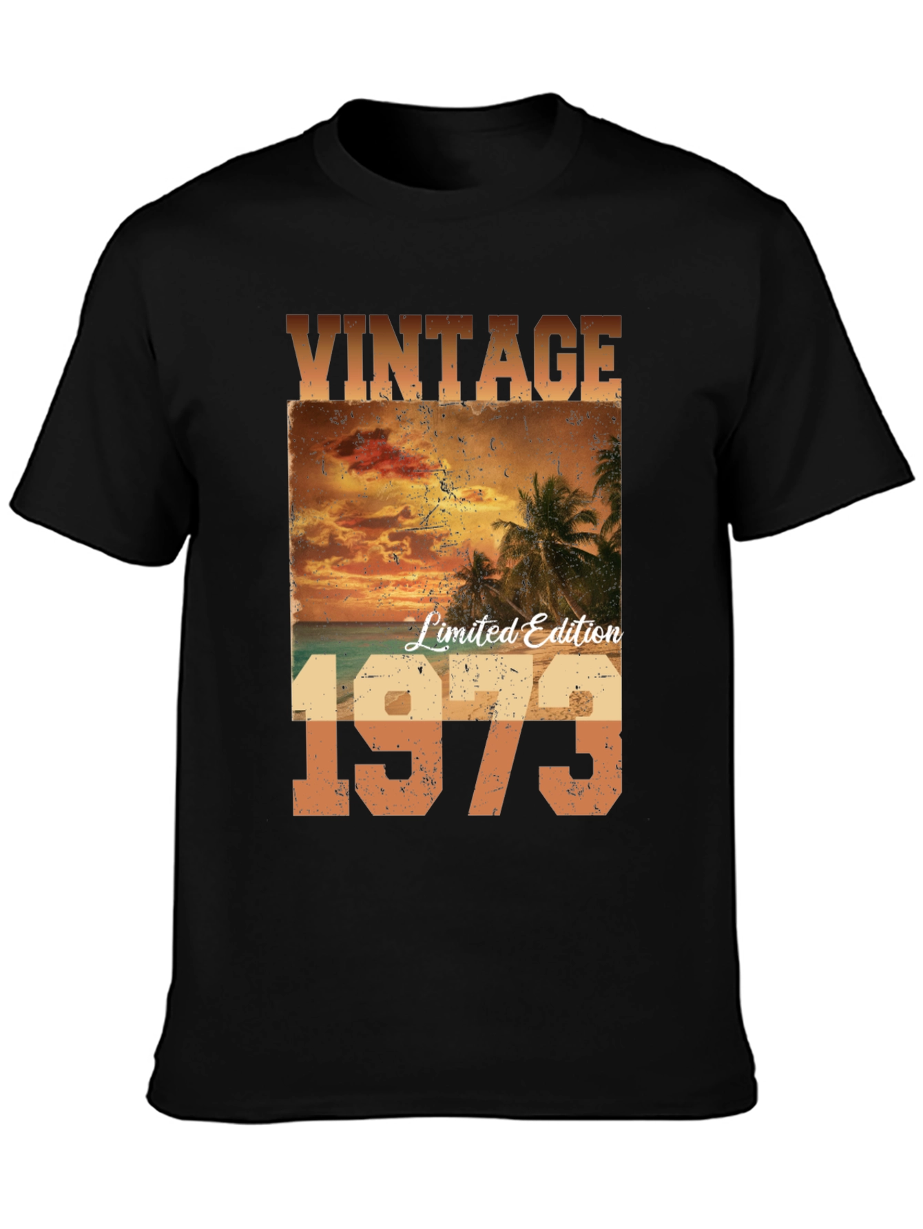 Vintage 1973 Limited Edition Graphic Tee