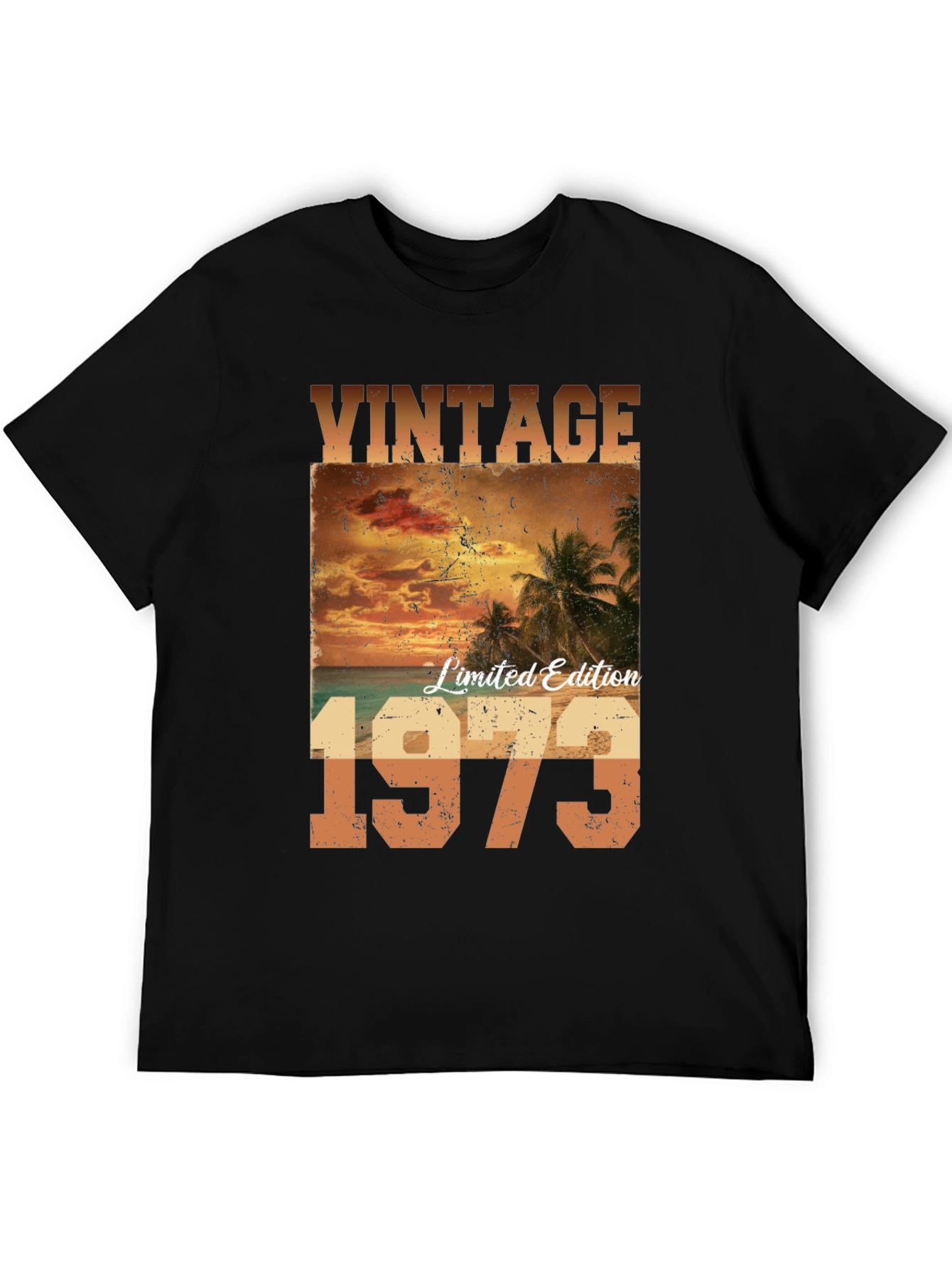 Vintage 1973 Limited Edition Graphic Tee