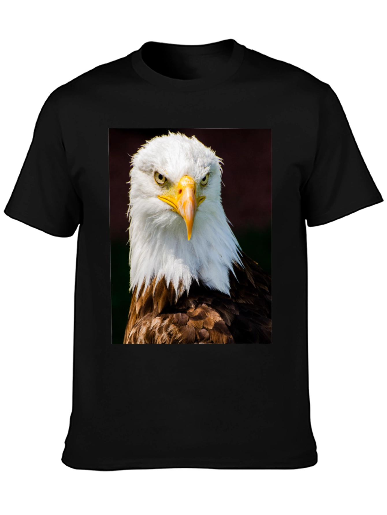 Eagle Graphic T-Shirt - Bold Bird of Prey Design