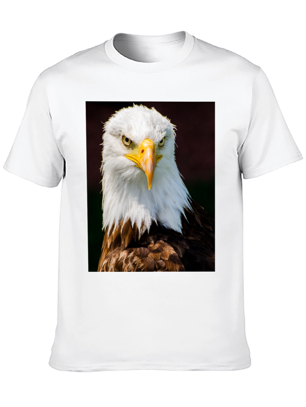Eagle Graphic T-Shirt - Bold Bird of Prey Design
