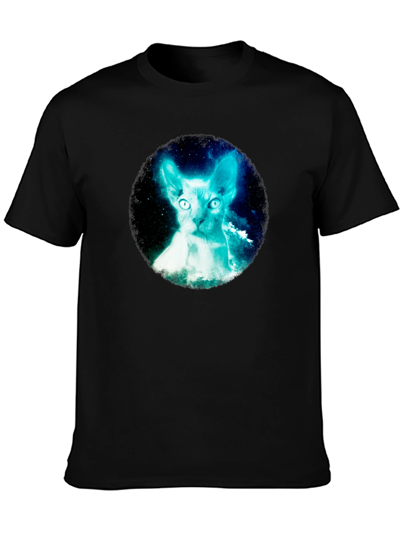 Sphynx Cat Galaxy Graphic Black T-Shirt