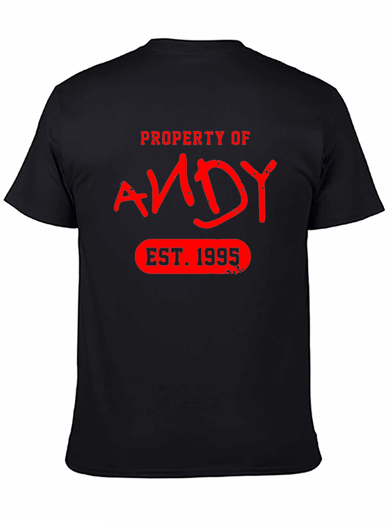 Property of Andy EST. 1995 T-Shirt