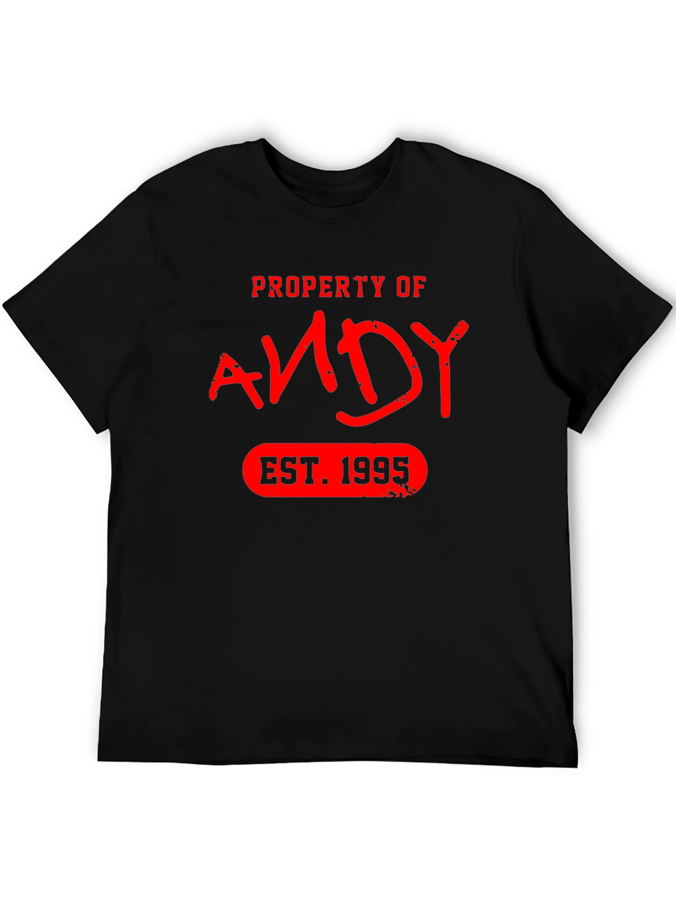 Property of Andy EST. 1995 T-Shirt