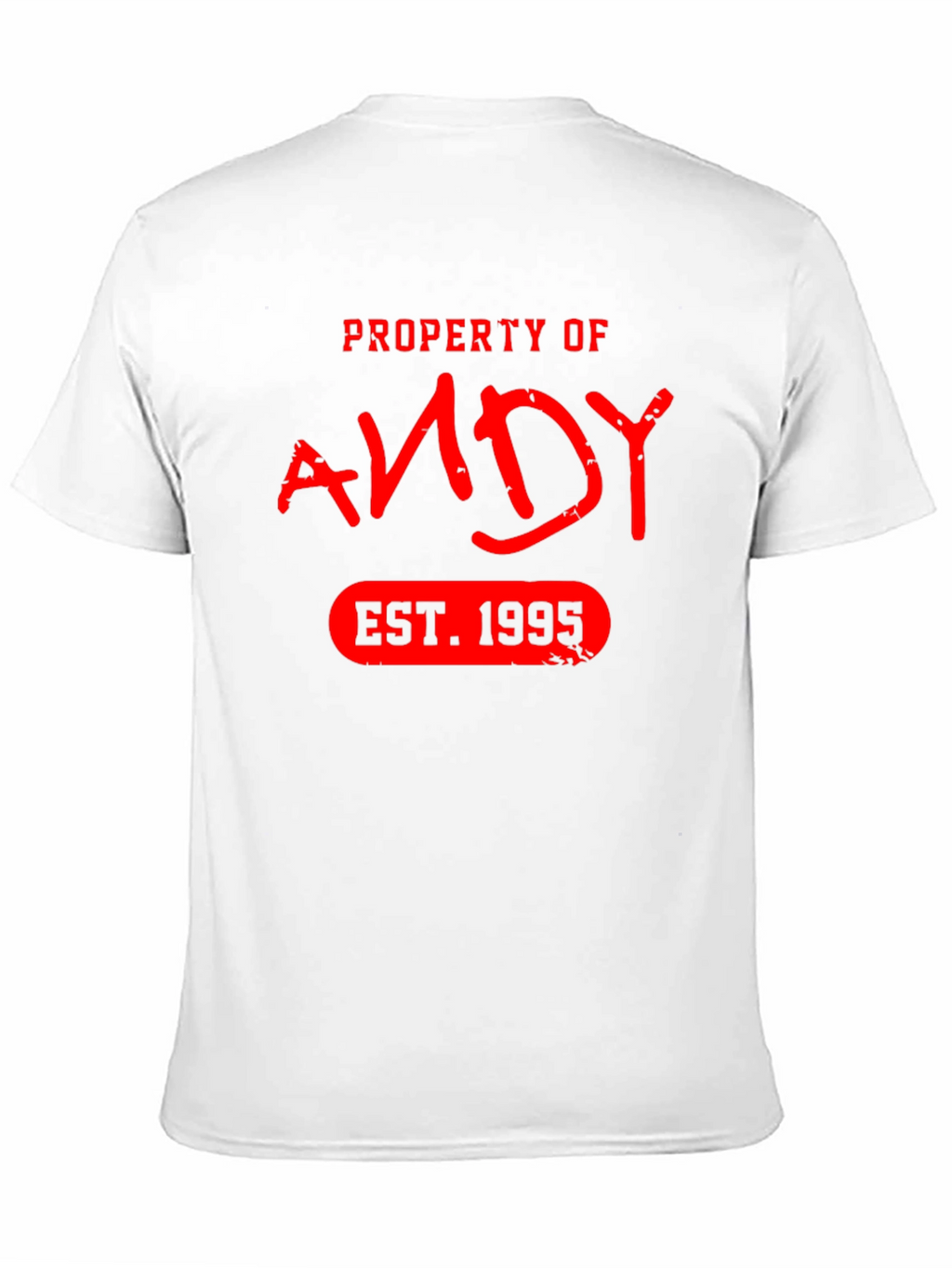 Property of Andy EST. 1995 T-Shirt