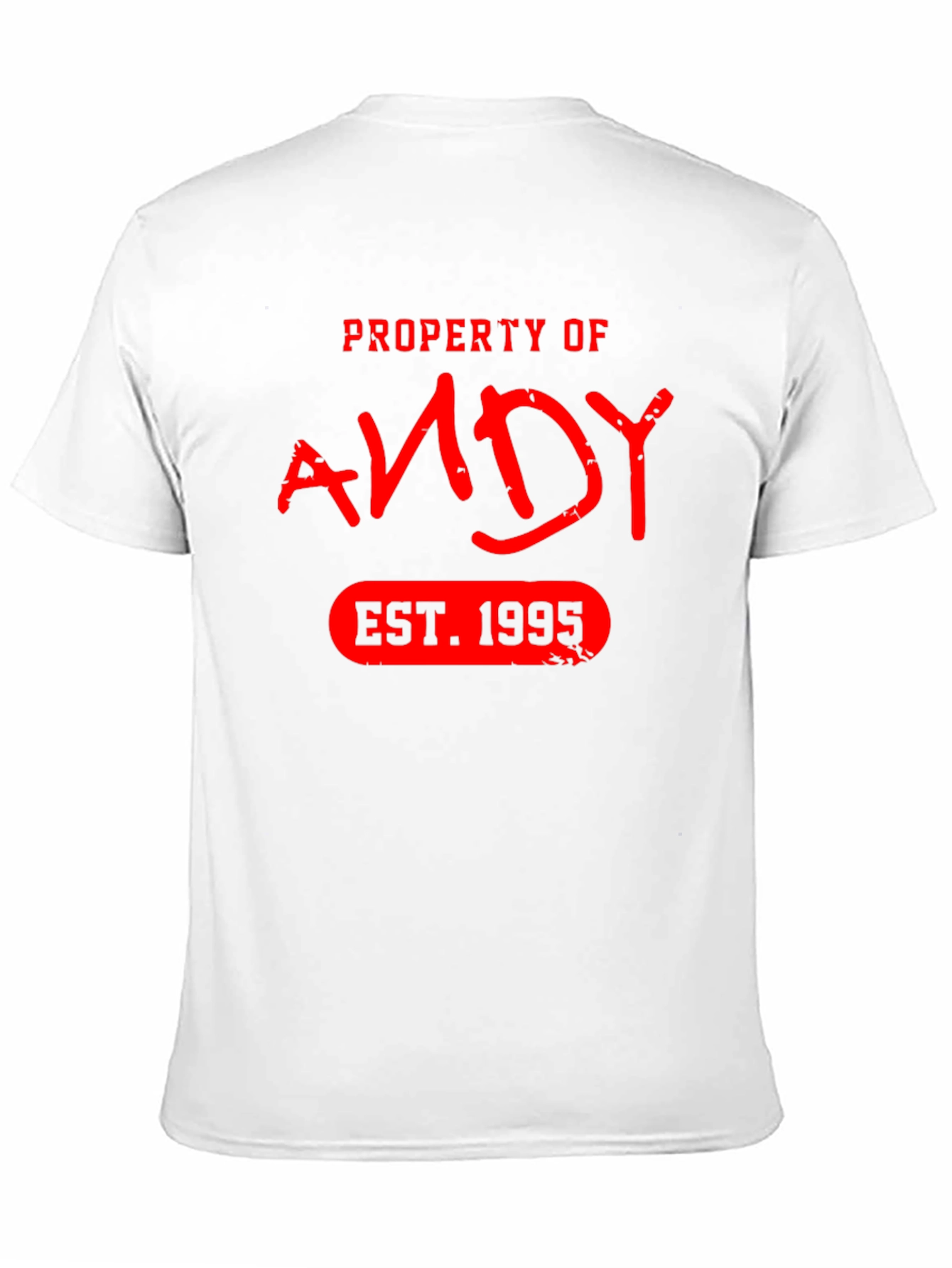 Property of Andy EST. 1995 T-Shirt