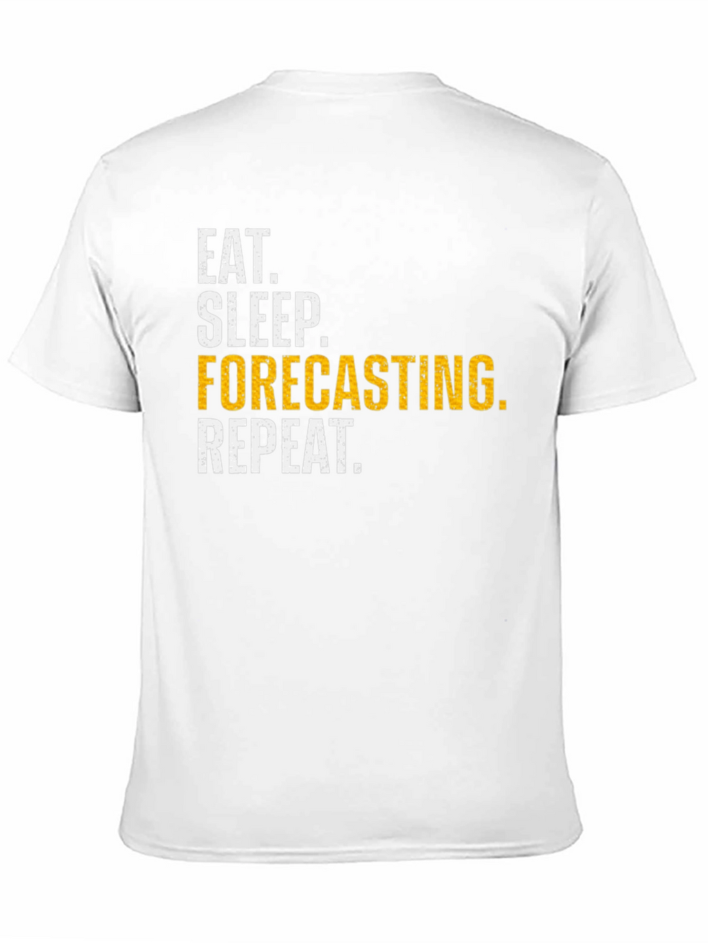 Eat Sleep Forecasting Repeat Funny T-Shirt