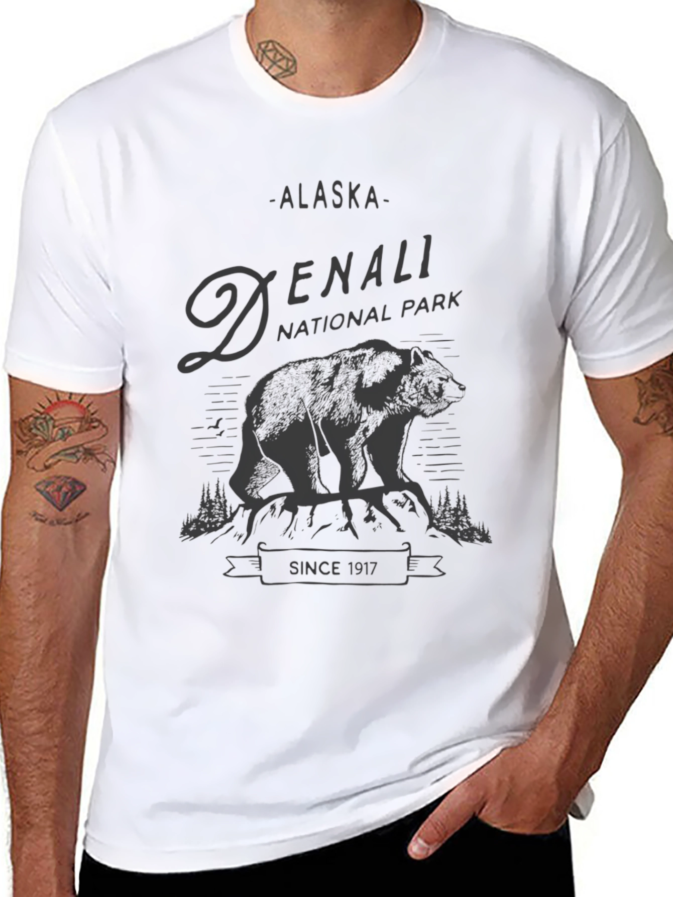 Denali National Park T-Shirt - Alaska Adventure