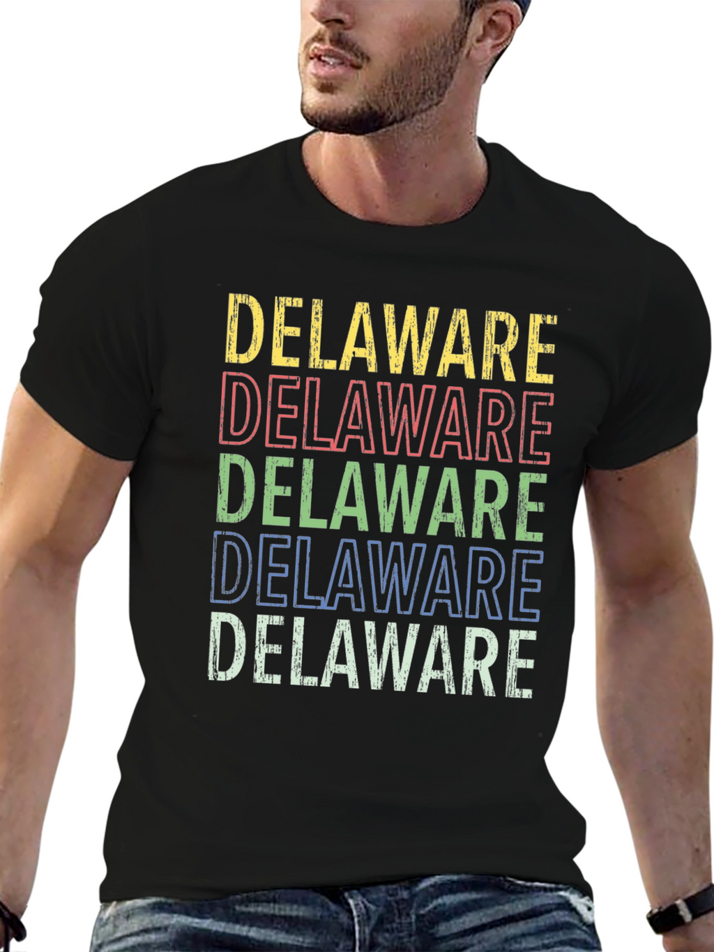 Delaware State Pride Graphic T-Shirt