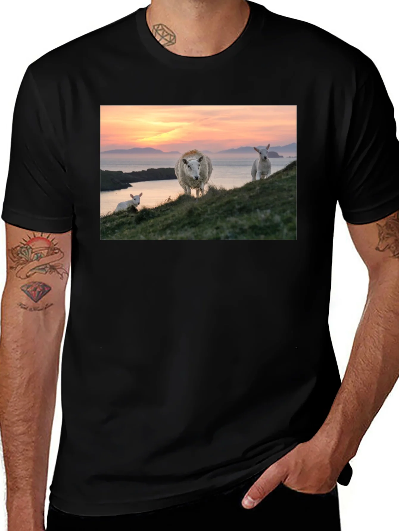 Scenic Sheep Graphic Tee - Black Cotton Blend
