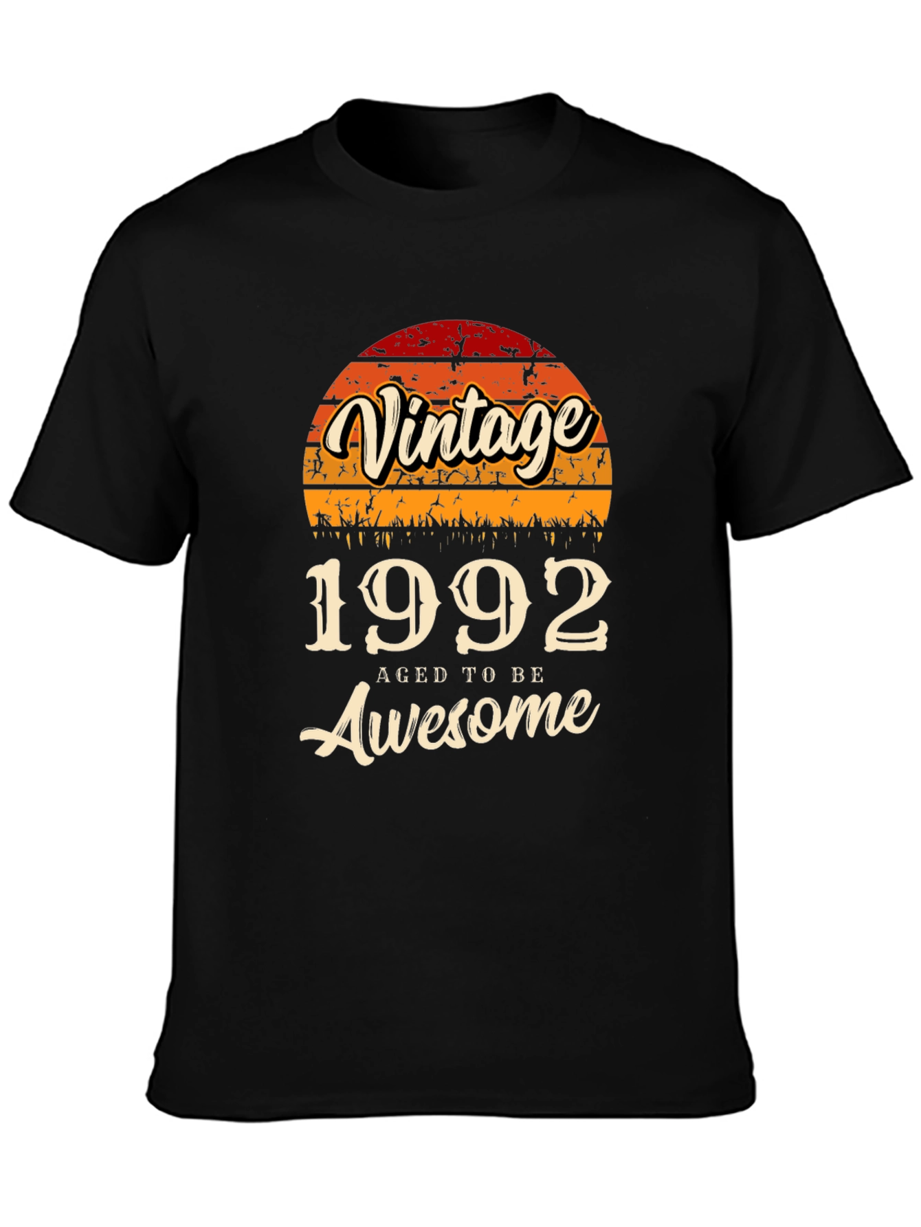 Vintage 1992 Aged to Be Awesome T-Shirt