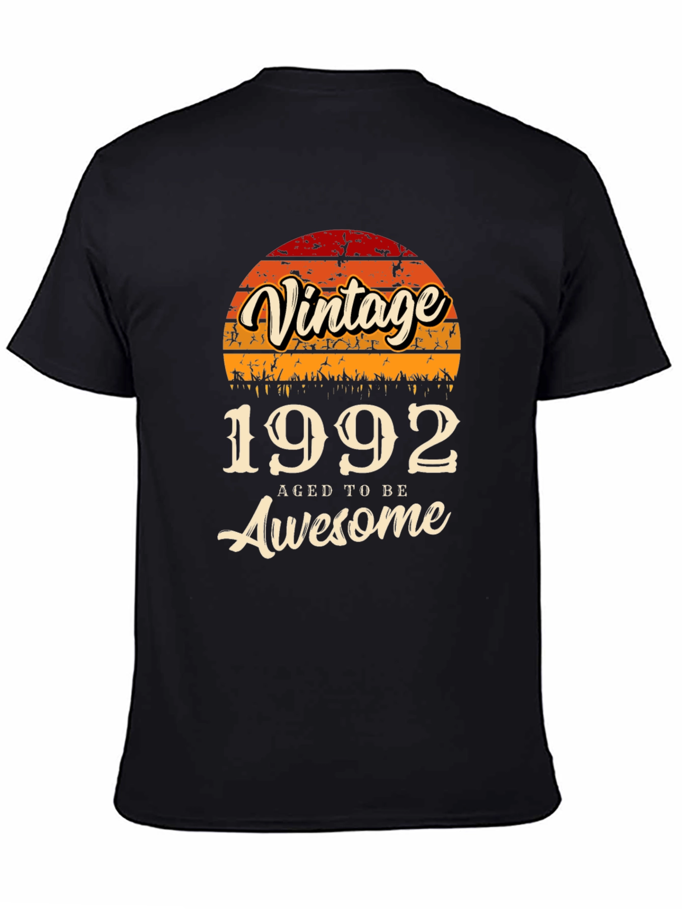 Vintage 1992 Aged to Be Awesome T-Shirt