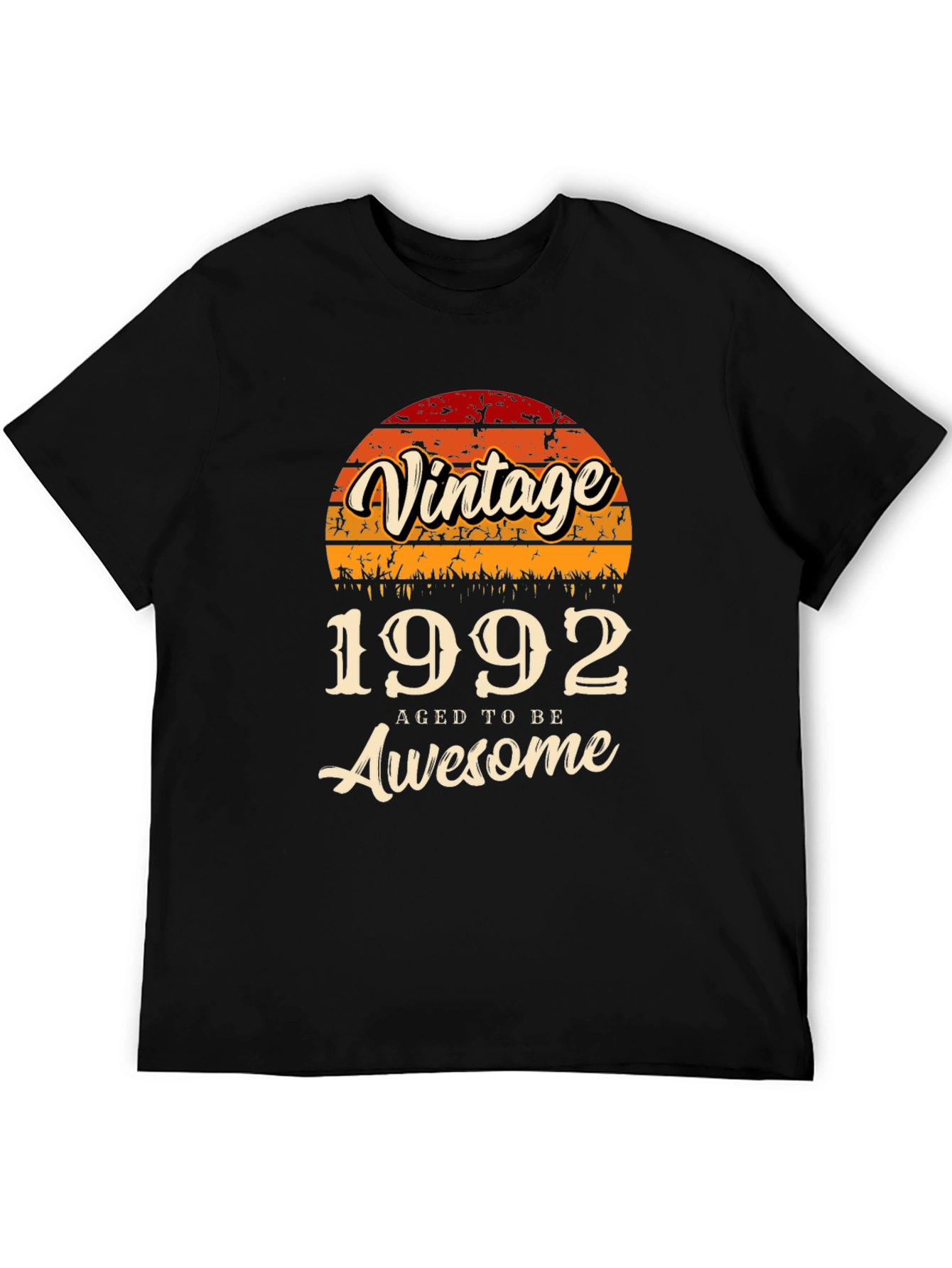 Vintage 1992 Aged to Be Awesome T-Shirt
