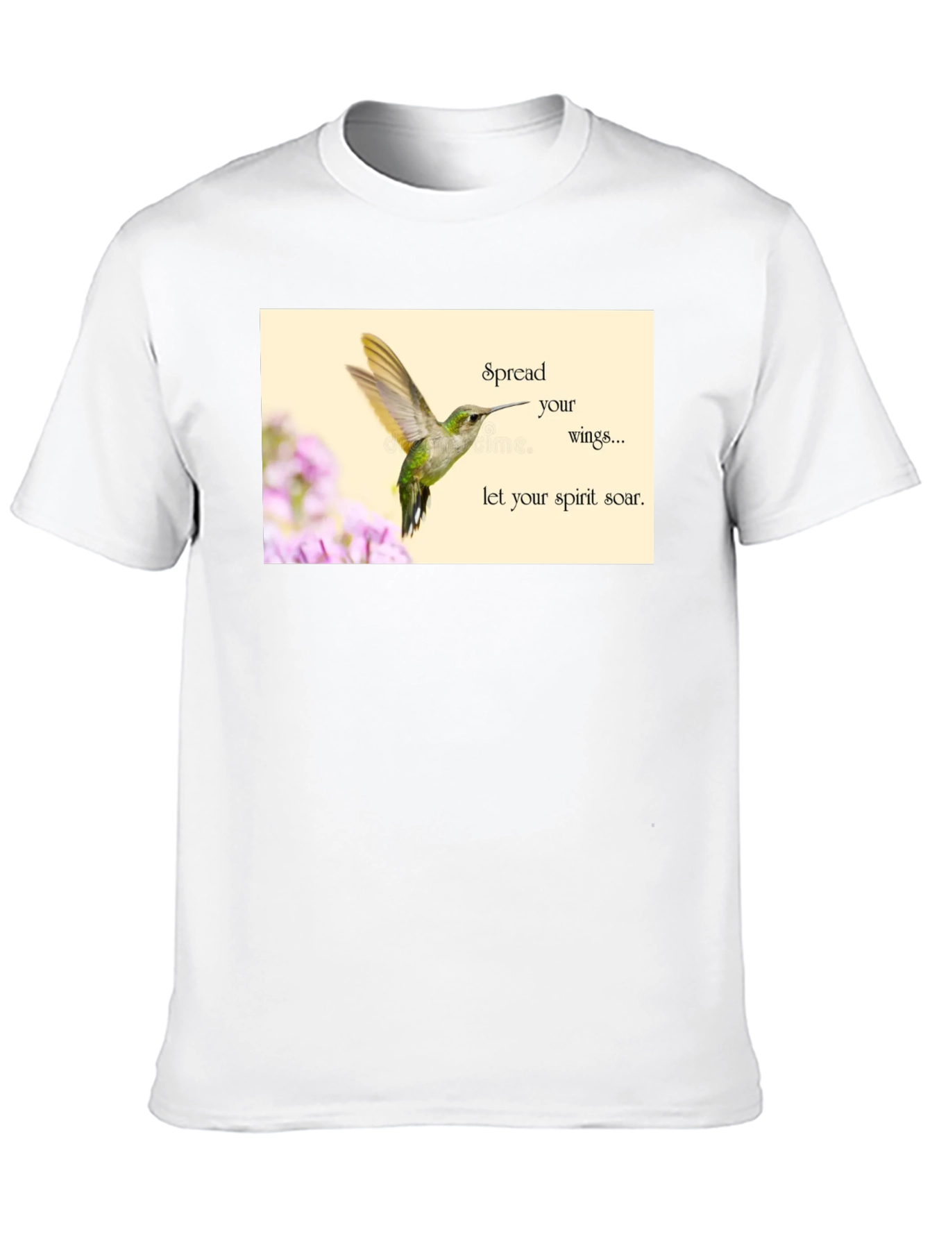 Hummingbird Spirit Soar T-Shirt