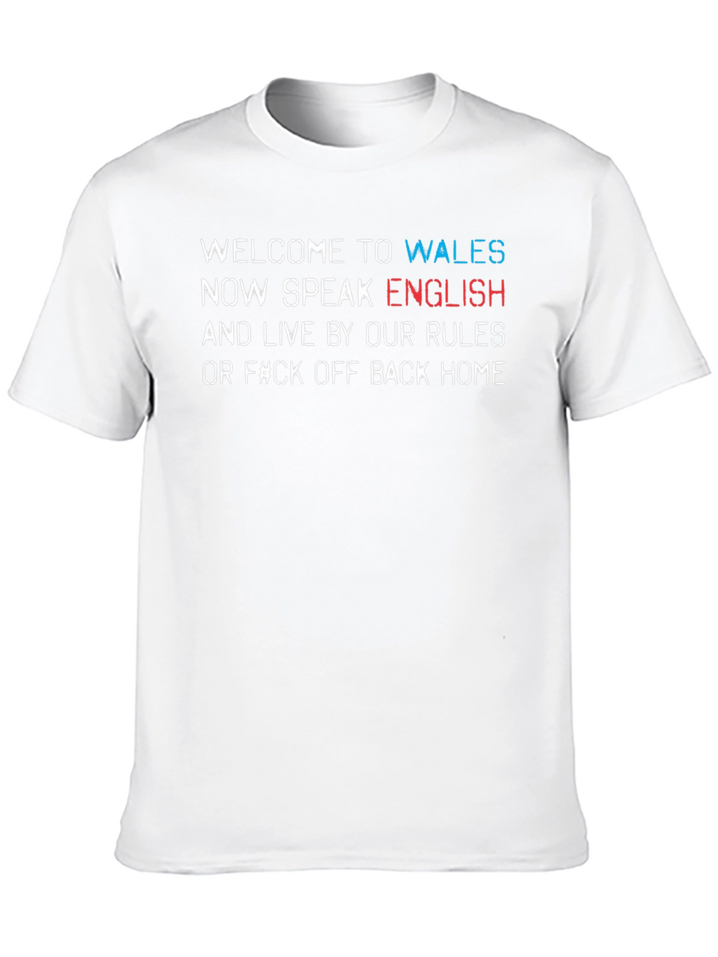 Wales T-Shirt: Speak English or Go Home