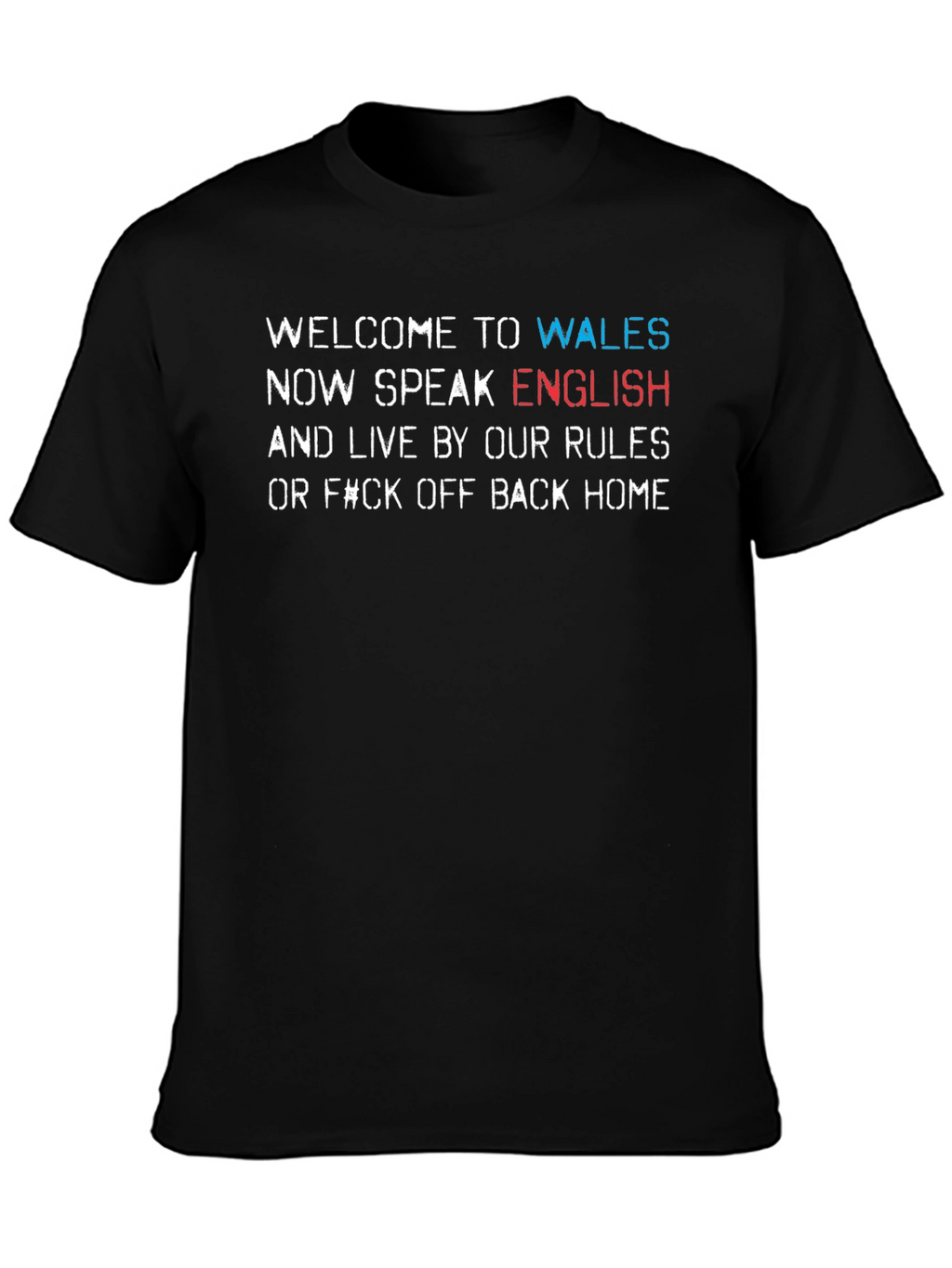 Wales T-Shirt: Speak English or Go Home