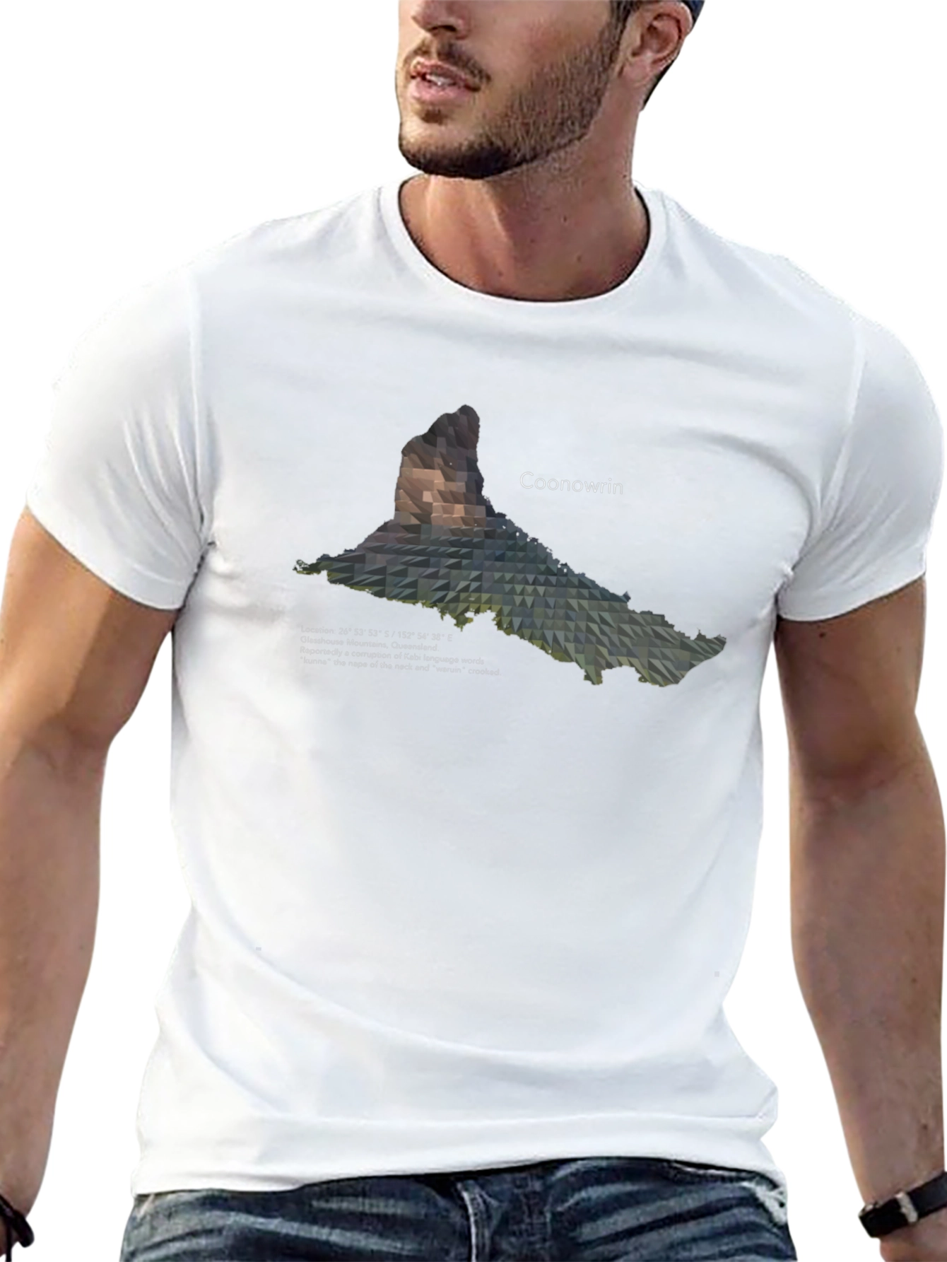 Coonowrin Mountain Geometric T-Shirt