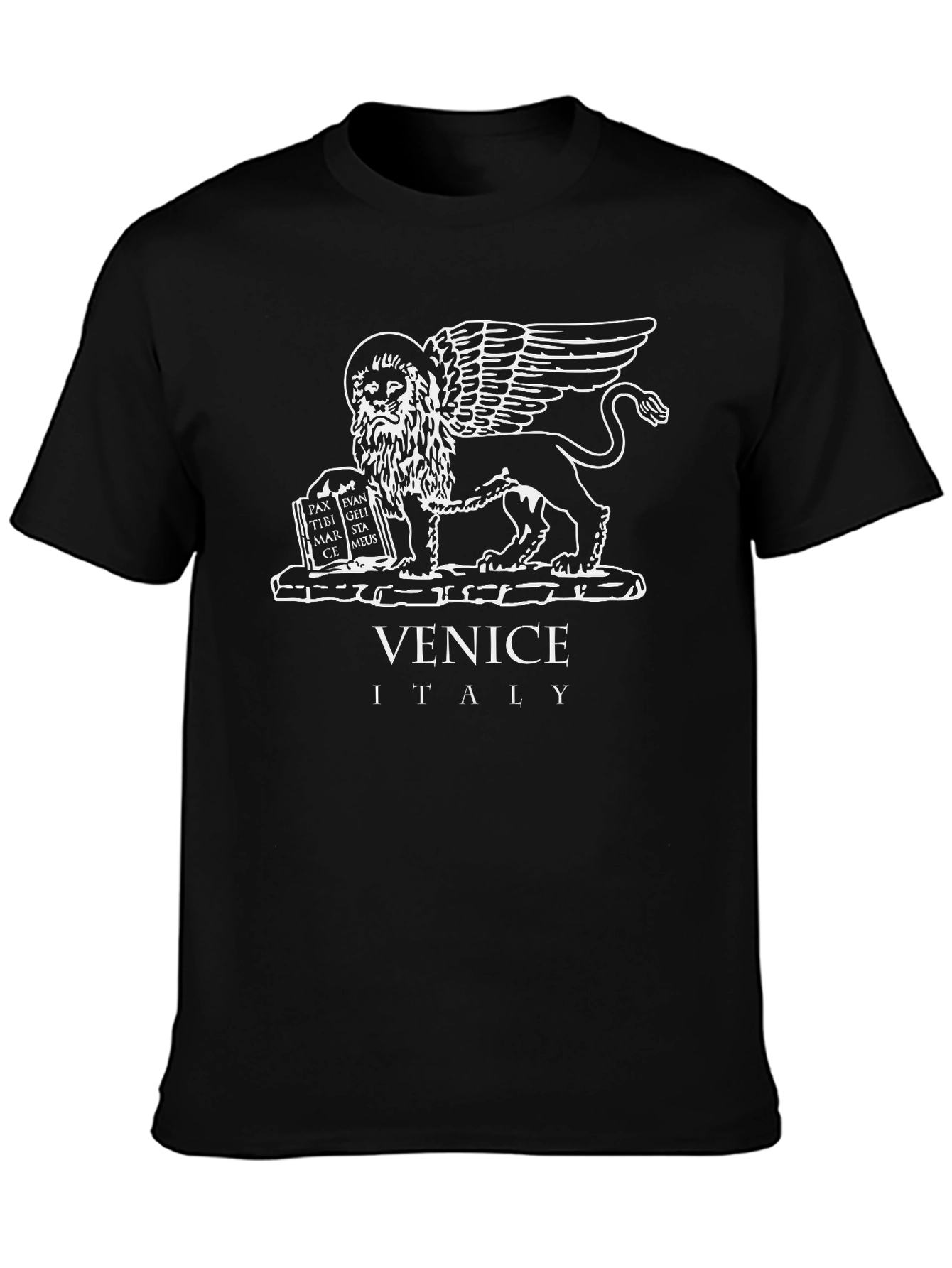 Venice Italy Lion Graphic T-Shirt