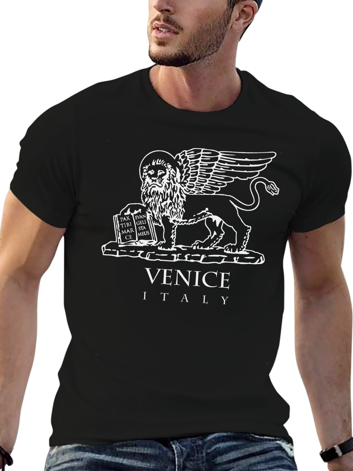 Venice Italy Lion Graphic T-Shirt