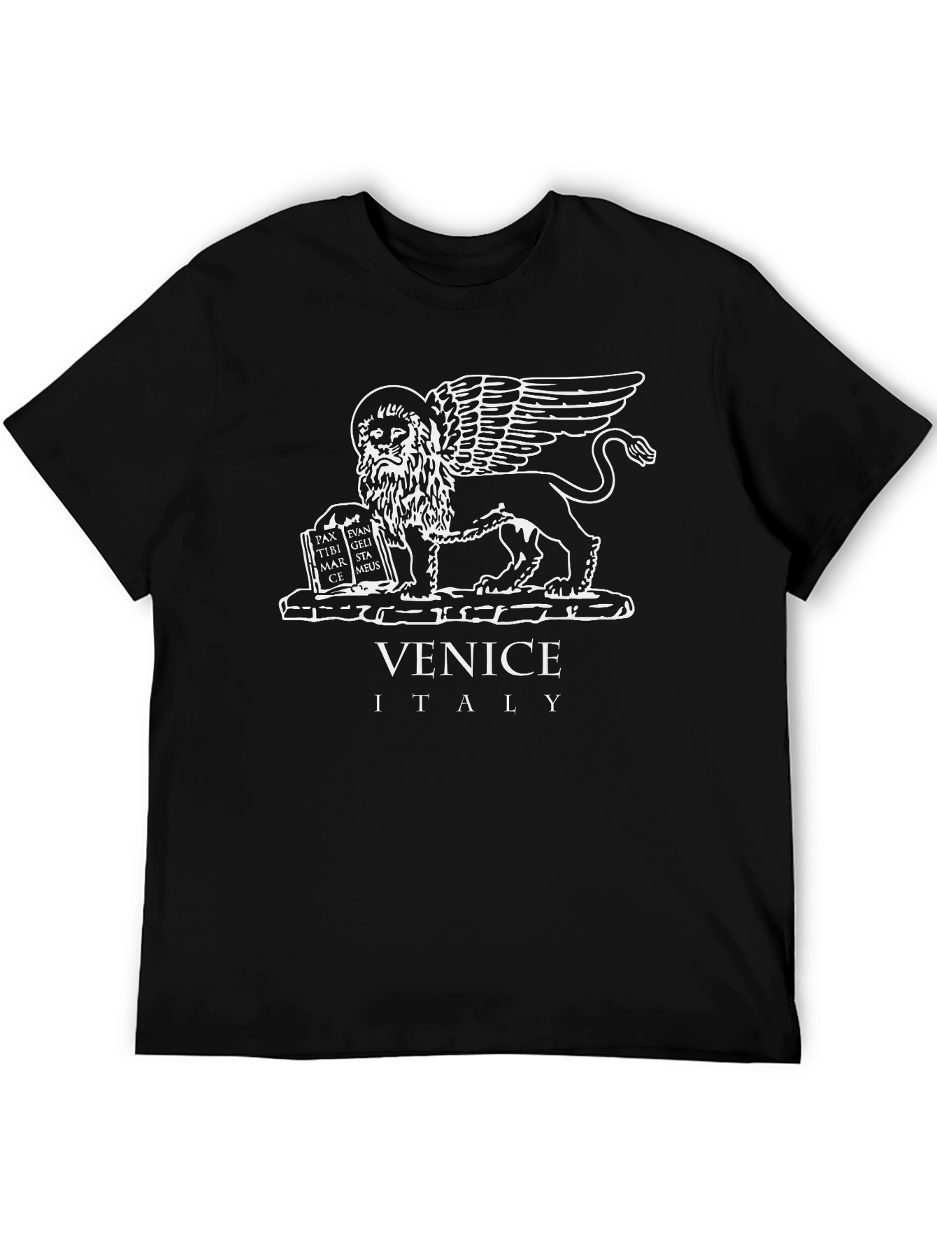 Venice Italy Lion Graphic T-Shirt